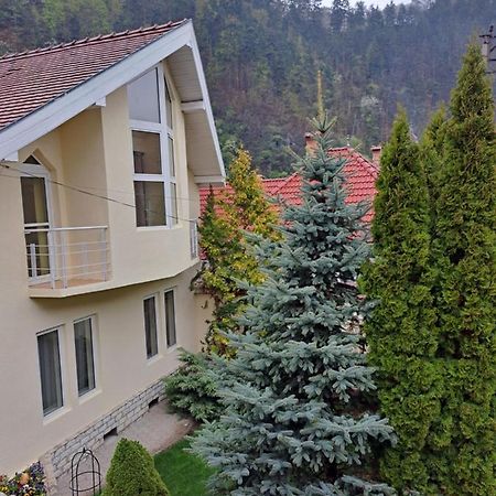 Pensiunea Irina Tilişca Exteriér fotografie