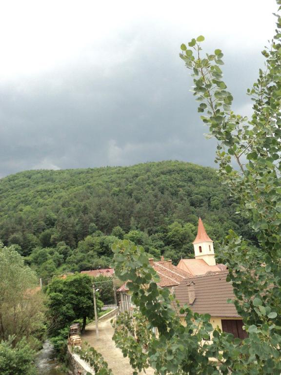 Pensiunea Irina Tilişca Exteriér fotografie